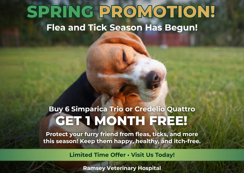 Carousel Slide 1: Visit us today!